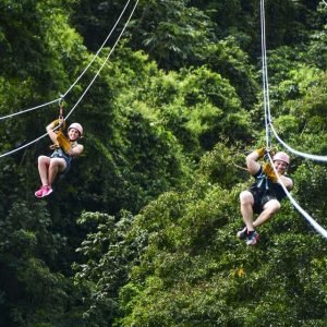 Punta Cana: Ziplines Adventures & Monkeyland Entry