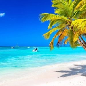 Punta Cana: Boat Tour to Isla Saona, Open Bar & Buffet Lunch