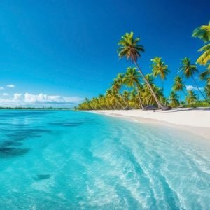 Punta Cana: Catalina Island Catamaran Cruise with Snorkeling