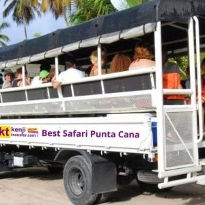Da Punta Cana: Tour di mezza giornata con safari alla Basilica di Higuey