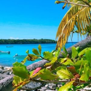 Punta Cana or La Romana: Catalina Island Tour and Snorkeling