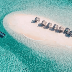 Cayo Arena: Tour dell'Isola Paradiso e delle Mangrovie