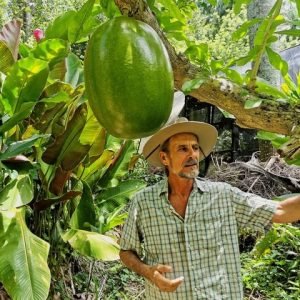 Puerto Plata: Valle di Taino e esperienza del sapore dominicano