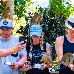 Von Punta Cana aus: Dschungel-Buggy-Fahrt und geführte Tour durch das Affenland