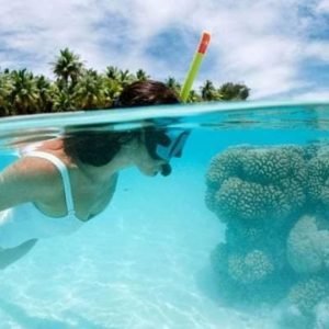 Isola di Catalina: Gita di un giorno - Il miglior snorkeling!