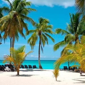 Full day Saona Island adventure