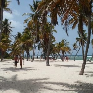 Saona Island Delights Tour from Punta Cana / Bavaro