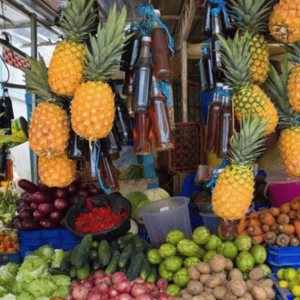 Da Punta Cana: tour storico-culturale con bagno nel fiume