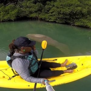 Los Haitises: Alba o tramonto: focus sulla fauna selvatica