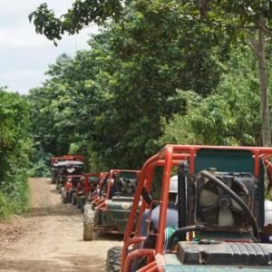 From Punta Cana or La Romana: Sugarcane Fields Buggy or Quad