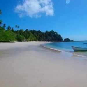 Giornata intera sull'isola di Catalina con immersioni subacquee