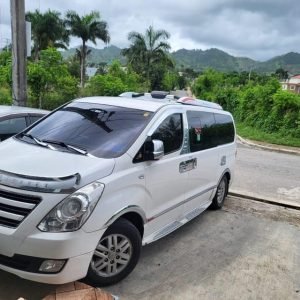 Private Tranasfer from Punta Cana Airport to Riu Bambu hotel