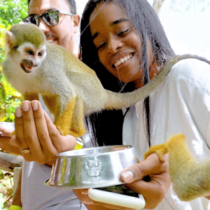 Prohlídka Monkeylandu + doprava z plavby/hotelu
