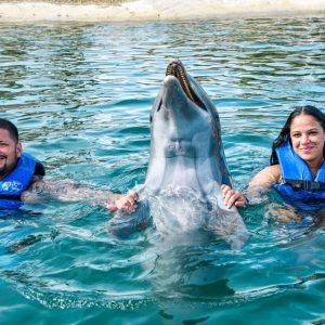 Puerto Plata: Parco Avventura Ocean World Nuotare con i delfini