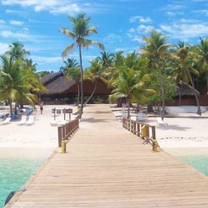 Tour dell'isola di Catalina con snorkeling e pranzo