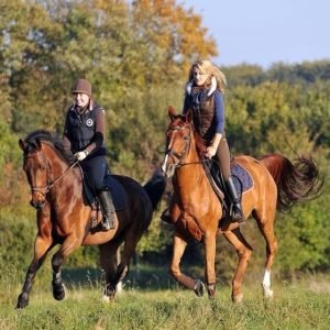 EQUITAZIONE SPIAGGIA MACAO PUNTA CANA CON PICK UP HOTEL