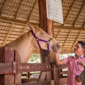 Punta Cana: Eco Park Safari Adventure