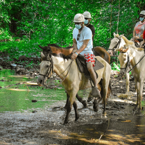 Punta cana : 3 tours de tyrolienne, buggy et promenade à cheval.