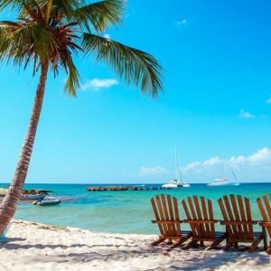 From Punta Cana: Full-Day Saona Island Excursion