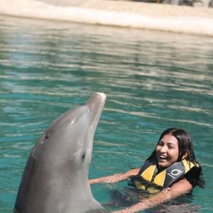 Nuotare con i delfini nel mondo oceanico di Puerto Plata