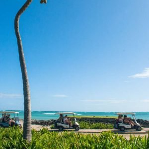 Vyhledávač ekologických výletů