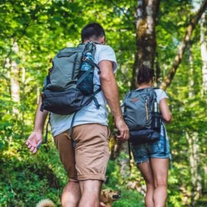 Los Haitises: Caves, Mangroves, & Rainforest Hike/Boat Tour