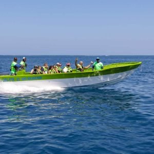 Puerto Plata: Day Trip to Cayo Arena Island by Speedboat