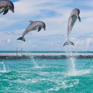 Party Boat in Punta Cana with Drinks Included