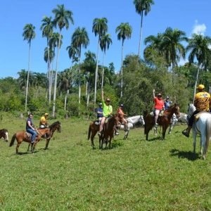 Esperienza combinata a Puerto Plata: Zip-line + Equitazione