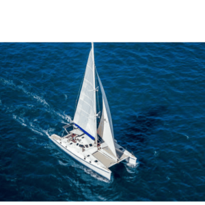 Saona Island From Santo Domingo With Catamara and food drink