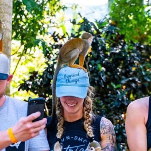 Samaná: Monkeyland and Open-Air Safari Truck Tour