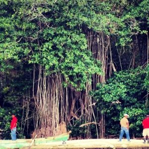 Snorkeling dell'isola di Catalina con cibo e bevande (giornata intera)