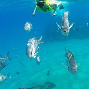 Tour di snorkeling e giornata sulla spiaggia di Sosua