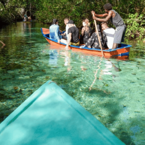 Samana: Ganztägige Samana Amazing Tour Punta Cana