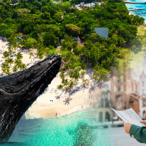 Samana: City Tour + Whale Watching + Cayo Levantado