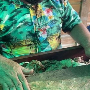 Ponoření do dominikánské kultury: Celodenní výlet se vším všudy