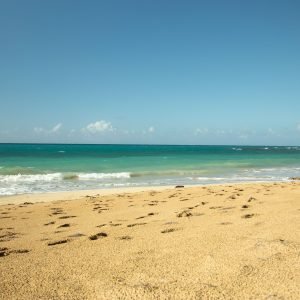 Complete Samaná Tour: Jackson Beach – Hiking, River Ride, and Snorkeling from La Majagua